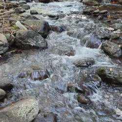 Vanadzor Botanical Garden - Vanadzor