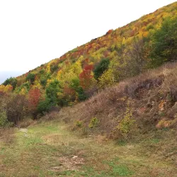 Vanadzor Botanical Garden - Vanadzor