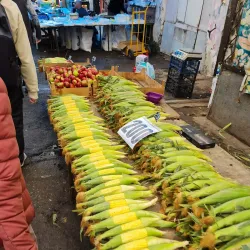 Vanadzor Central Market - Vanadzor