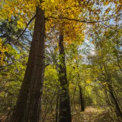 Vanadzor City Park - Vanadzor