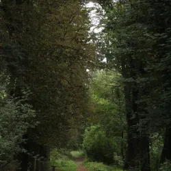 Vanadzor City Park - Vanadzor