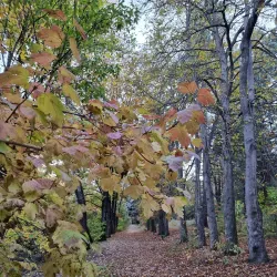 Vanadzor City Park - Vanadzor