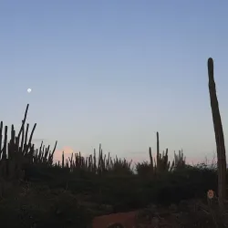 Alto Vista Trail - Alto Vista