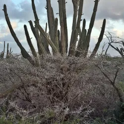 Alto Vista Trail - Alto Vista