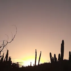 Alto Vista Trail - Alto Vista