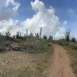 Alto Vista Viewpoint - Alto Vista