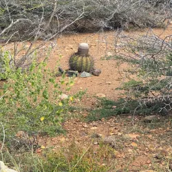 Alto Vista Viewpoint - Alto Vista