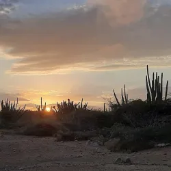 Alto Vista Viewpoint - Alto Vista