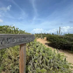 Alto Vista Viewpoint - Alto Vista