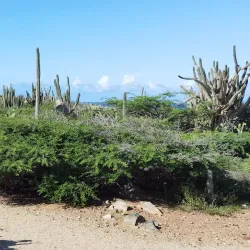 Alto Vista Viewpoint - Alto Vista