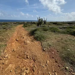 Alto Vista Viewpoint - Alto Vista