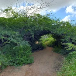 Alto Vista Viewpoint - Alto Vista