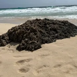 Boca Prins Beach - Alto Vista