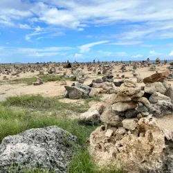 Bushiribana Gold Mill Ruins - Alto Vista
