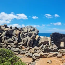 Bushiribana Gold Mill Ruins - Alto Vista