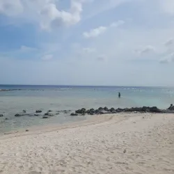 Mangel Halto Beach - Alto Vista