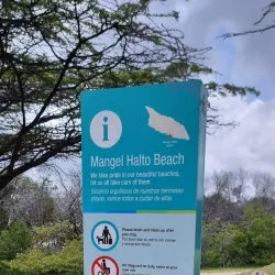 Mangel Halto Beach - Alto Vista