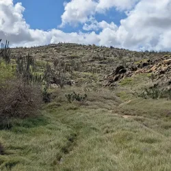 Wariruri Beach - Alto Vista