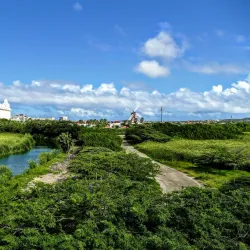 Bubali Bird Sanctuary - Noord