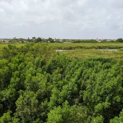 Bubali Bird Sanctuary - Noord