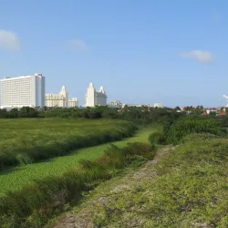 Bubali Bird Sanctuary - Noord