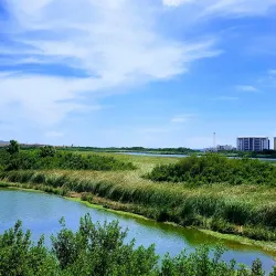 Bubali Bird Sanctuary - Noord