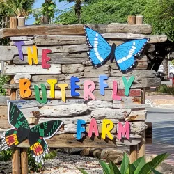 Butterfly Farm Aruba - Noord