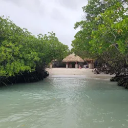 Mangel Halto Beach - Noord