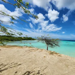 Mangel Halto Beach - Noord