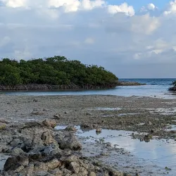 Mangel Halto Beach - Noord