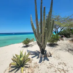 Mangel Halto Beach - Noord
