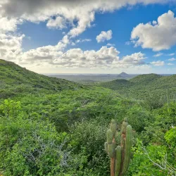 Arikok National Park - Paradera