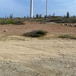 Arikok National Park - Paradera