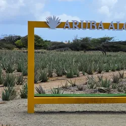 Aruba Aloe Factory and Museum - Paradera