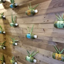 Aruba Aloe Factory and Museum - Paradera