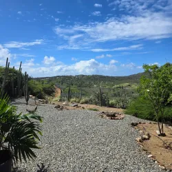 Aruba Ostrich Farm - Paradera