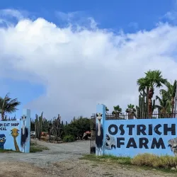 Aruba Ostrich Farm - Paradera
