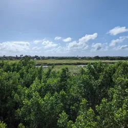 Bubali Bird Sanctuary - Paradera