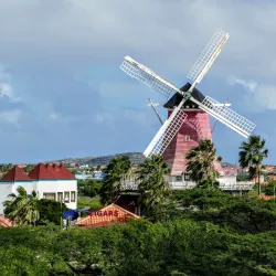 Bubali Bird Sanctuary - Paradera