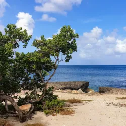 Bubali Bird Sanctuary - Paradera