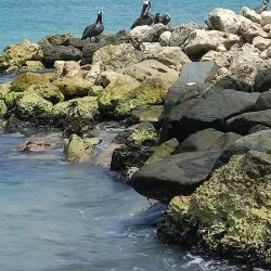 Bubali Bird Sanctuary - Paradera