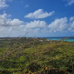 California Lighthouse - Paradera