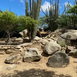 Casibari Rock Formation - Paradera