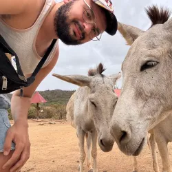Donkey Sanctuary Aruba - Paradera