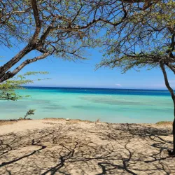 Mangel Halto Beach - Paradera