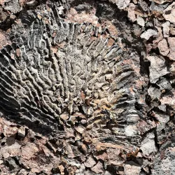 Boca Prins Beach - Ponton