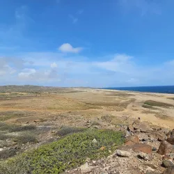 Bushiribana Gold Mill Ruins - Ponton