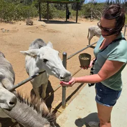 Donkey Sanctuary Aruba - Ponton