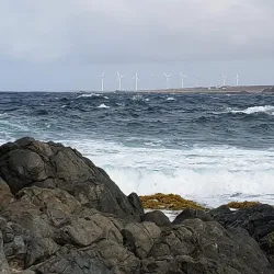 Natural Pool (Conchi) - Ponton