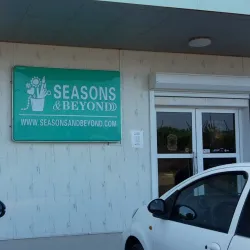 Local Art and Craft Shops - Savaneta